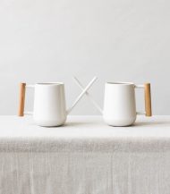 Pilea Peperomioides – Image 5