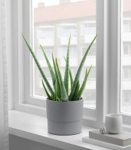 Mica Douro Pot – Image 4