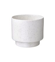 Drakfrukt – Image 2