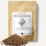 Poivre sauvage Voatsiperifery de Madagascar