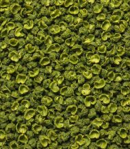Grains de poivre de Sichuan Vert