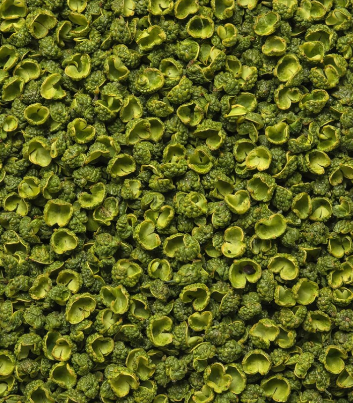 Grains de poivre de Sichuan Vert