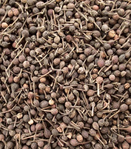 Zoom sur le Voatsiperifery poivre de Madagascar