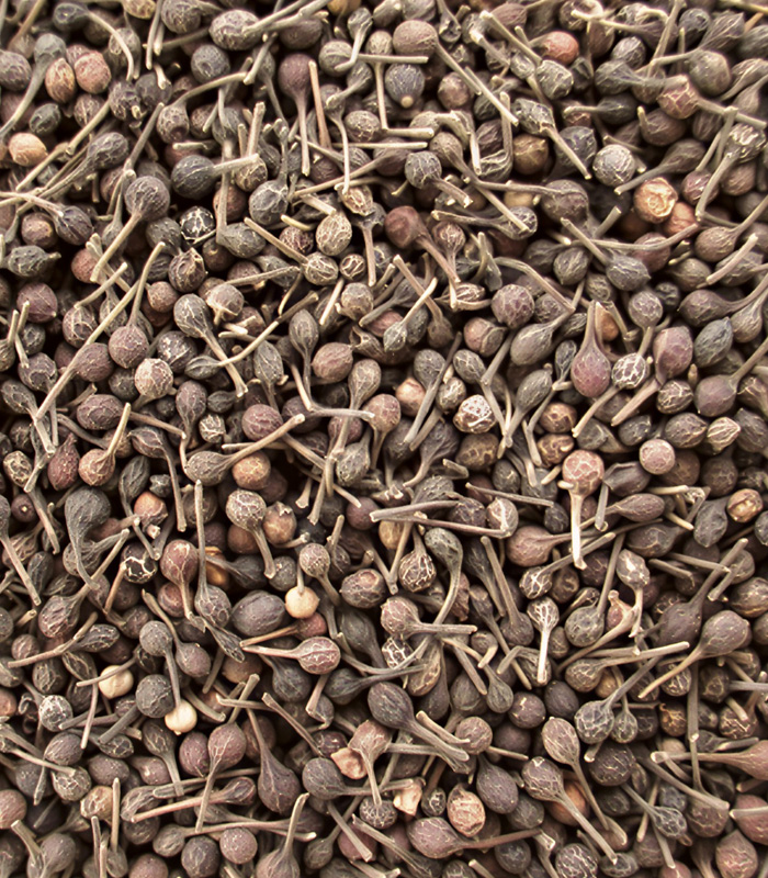 Zoom sur le Voatsiperifery poivre de Madagascar