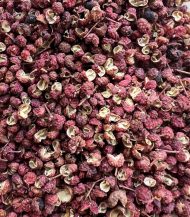 Poivre de Sichuan Rouge en gros plan