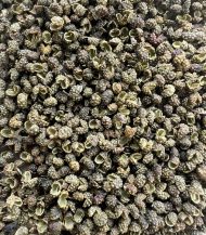 Poivre de Sichuan Vert en gros plan