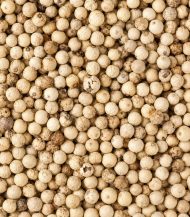 Zoom sur les grains de poivre blanc de Kampot