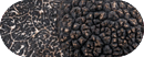 Truffe Noire